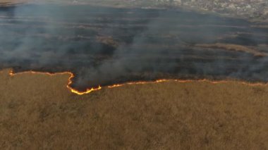 Bir yangının neden olduğu fırtına Ukrayna çarpıcı görünümünde Dnipro nehir havzası canlı ve ölü bölgelere ilkbaharında bölen alev şerit ilerleyen ile kaplı bir baston ve reed bataklık şehir banliyölerinde reed bataklıklar hava atış kaplı