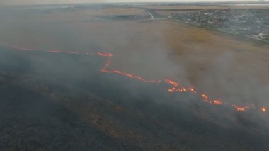 Bahar etkileyici kuş bakışı, saz ve kamış sulak baharda alev ve Dnipro Nehri'nin alanında duman gri kaplı Dnipro havzasında, alevli baston ve saz Sulak alan hava atış. Şehir banliyölerinde yakındadır.