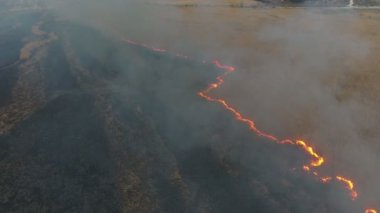 Bahar korkunç kuş bakışı, saz ve kamış sulak baharda alev ve Dnipro Nehri'nin alanında duman gri kaplı Dnipro nehir bölgede yanma kamışı ve saz Sulak alan hava atış. Yangın hattı çapraz.