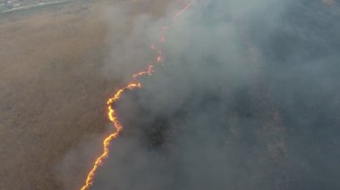 Bahar bahar ateş ve Dnipro Nehri'nin bataklıklar içinde duman gri çarpıcı kuş bakışı, saz ve kamış bataklıklar kaplı Dnipro Nehri Havzasında alevli baston ve reed bataklıkta hava atış. Yangın hattı Çoğalmadan.