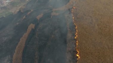 Dnipro havzasında iki çizgili Hava: dumanlı siyah biri, ikinci kuş bakışı kamışı bataklıklar ölü bir bölme yangın uzun bir şerit ile kaplıdır ve bahar paslı Dnipro Nehri alanının korkutucu yanan