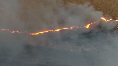 Gri duman akışların Dnipro Havzası bataklıklar korkunç kuş bakışı yanan Dnipro Havzası Bataklıkların saz ve kamışı alanları ile bahar aylarında Taşınılan yoğun gri duman bobinleri, alev yükselen hava atış 