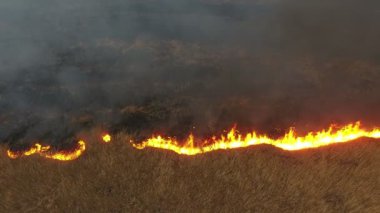Bahar etkileyici kuş bakışı kamışı Dnipro Nehri Havzasında kamışı ve reed bataklıkta ve baharda alev ve Dnipro Nehri'nin bataklıklar içinde duman gri kaplı reed bataklıklar yanma hava atış