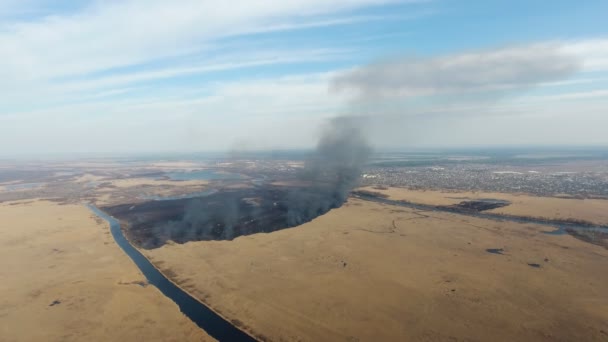 습지의 Dnipro 유입에서 습지의 봄에서 연기와 Dnipro 강가에서 방화벽 — 비디오