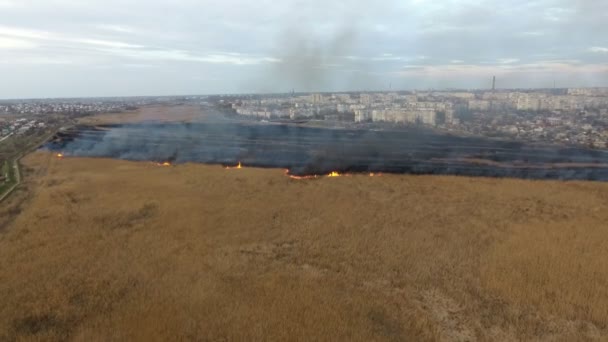 菅沼春に焼け さびで覆われた領域にドニプロ川の流域を分割火炎ストライプの進展と杖と葦の湿地のウクライナ野生ビューで市郊外での火事場と攻撃の空中ショット — ストック動画