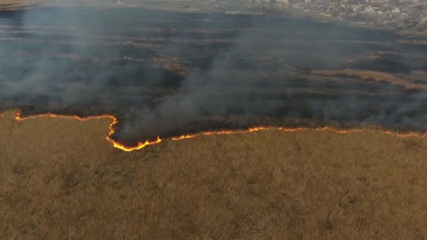 Vue aérienne de marais de roseaux recouverts d'une tempête de feu dans les banlieues de la ville en Ukraine Vue saisissante d'un marais de canne et de roseaux recouvert d'une bande de flamme en progression divisant le bassin du fleuve Dnipro en zones vivantes et mortes au printemps 