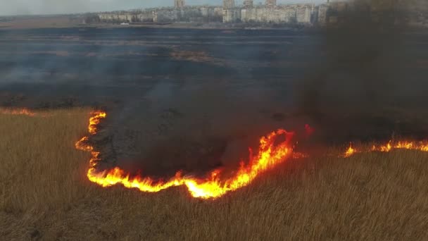 Vue aérienne des marais brûlants du bassin du Dnipro qui ont l'air noirs et brûlés au printemps Superbe vue aérienne des ruisseaux de fumée grise recouvrant la canne et le roseau du Dnipro en flammes au début du printemps. La bande de tir semble ronde  