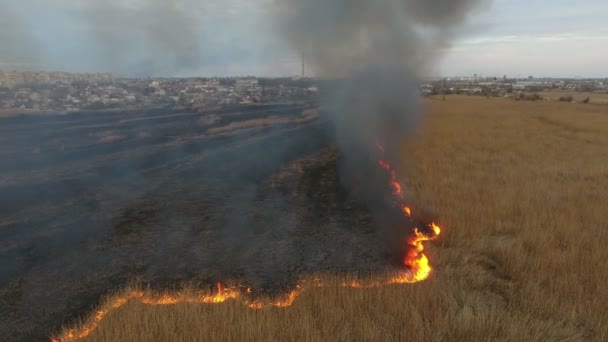 Aerial Shot Grey Smoke Coils Rising Burning Dnipro Basin Wetland — Vídeo de stock