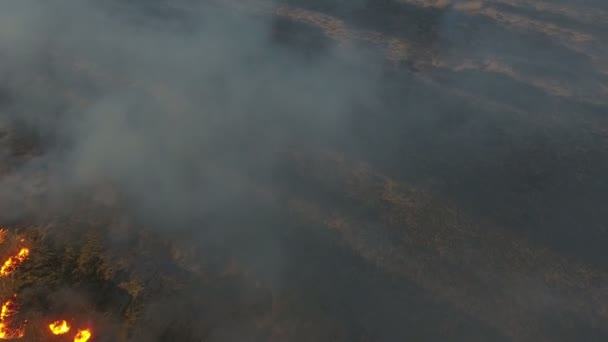 Zdjęcia Lotnicze Dorzecza Dnipro Spalony Czarny Wędzone Martwe Firestorm Straszne — Wideo stockowe