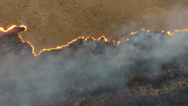 Toma Aérea Del Humedal Caña Carrizo Cubierto Con Fuego Humo — Vídeos de Stock