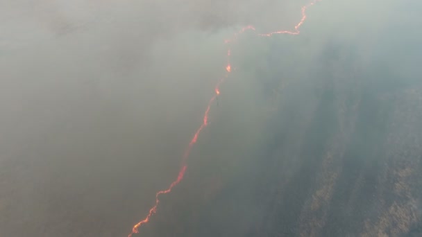 春天在第聂伯亚河流域拍摄的自然火灾和烟雾的空中镜头 在春天的第聂伯罗地区 用高火焰条纹和烟雾流划过了人们对海沟和甘蔗沼泽的鸟图 — 图库视频影像