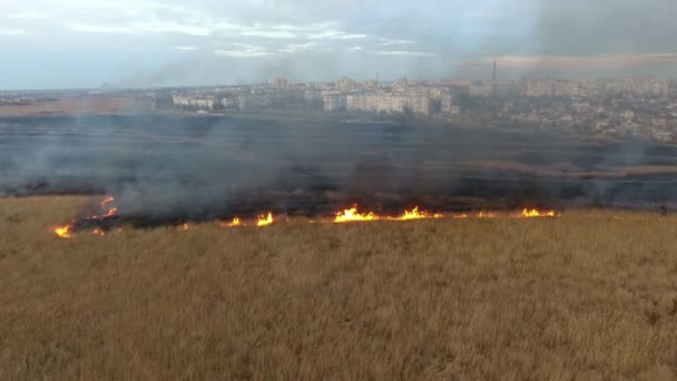 Vue aérienne d'un champ humide couvert d'un feu de forêt dans les banlieues de la ville en Ukraine Vue imprenable d'un champ de canne et de roseau couvert d'une bande de feu divisant le bassin de la rivière Dnipro en zones brunes et noires au printemps 