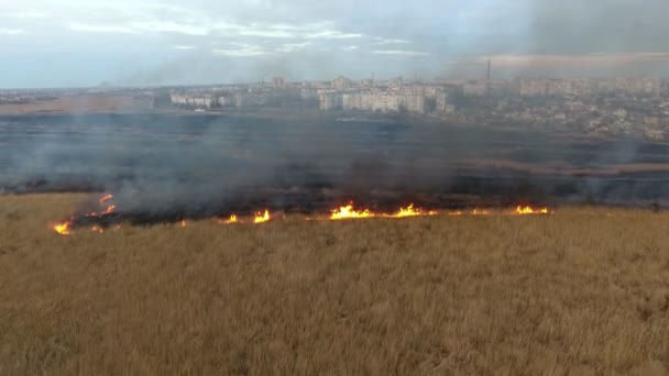 Aerial Shot Wetland Field Covered Wildfire City Suburbs Ukraine Impresionante — Vídeo de stock