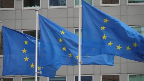 晴れた日にブリュッセルのEuオフィスの入り口で手を振る3つのEuの旗は 春の晴れた日にブリュッセルのEuビルで黄色い星の円が飛び散る3つの欧州連合の旗のエキサイティングな眺め — ストック動画