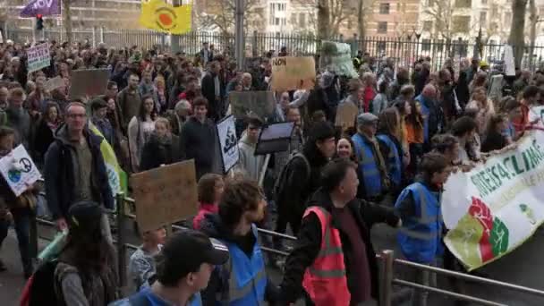 Bruselas Bélgica Marzo 2019 Impresionante Vista Grupo Miles Jóvenes Con — Vídeo de stock