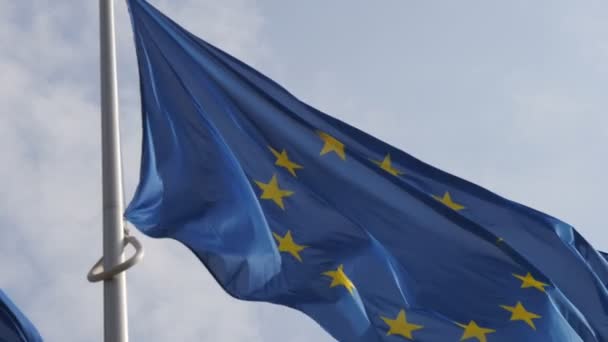 Flag Police Rotor Plane Symbol Background Slow Motion Inspiring European — Stock Video
