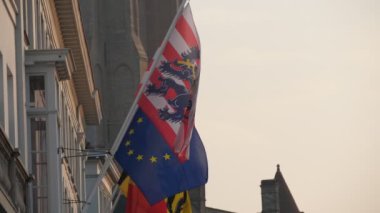Bruges'in belçika'da üzerinde dalgalı ağaç bayrakları olan resmi binası Muhteşem görünümü Mavi aslan ile Bruges bayrağı, altın yıldız ile Avrupa bayrağı, Belçika standart slo-mo ilkbaharda evde sallayarak