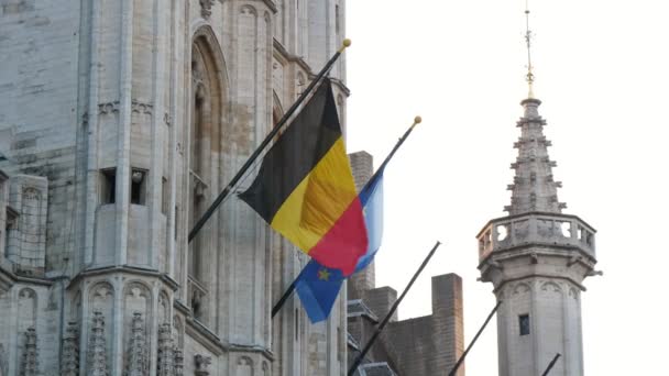 Bâtiment Historique Élevé Avec Des Drapeaux Flamboyants Belgique Union Européenne — Video