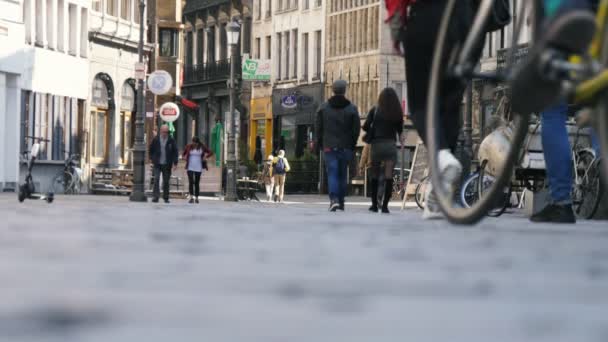 Brüssel Belgien April 2019 Fröhlicher Anblick Entspannter Junger Leute Die — Stockvideo