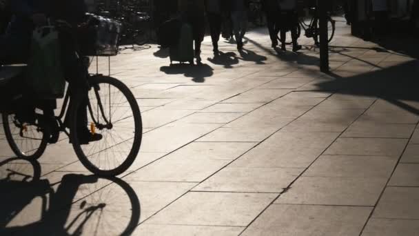 Man Rider Cykel Kaklad Gata Bryssel Våren Kvällen Slo Arty — Stockvideo