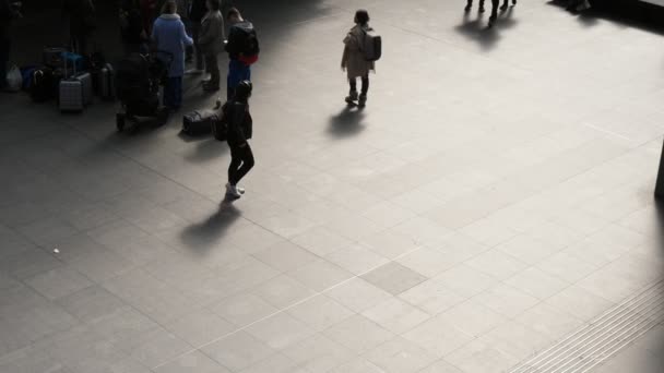 Antwerpen Belgien April 2019 Upp Ner Utsikt Över Antwerpens Terminal — Stockvideo