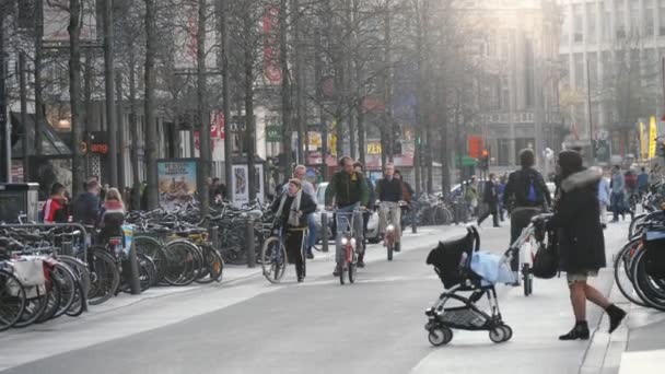 Bruxelles Belgique 1Er Avril 2019 Vue Imprenable Sur Des Personnes — Video