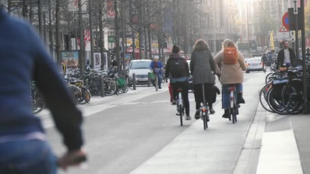 Brussel België April 2019 Spannend Uitzicht Genieten Van Het Leven — Stockvideo