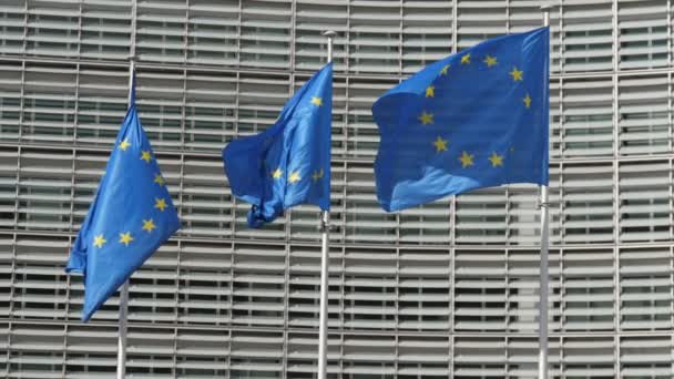 三面欧旗在Ec房子的入口处欢快地飘扬 在阳光明媚的日子里 三面蓝色背景的欢快的欧盟旗帜和金色的星星在欧盟委员会上空飘扬 — 图库视频影像