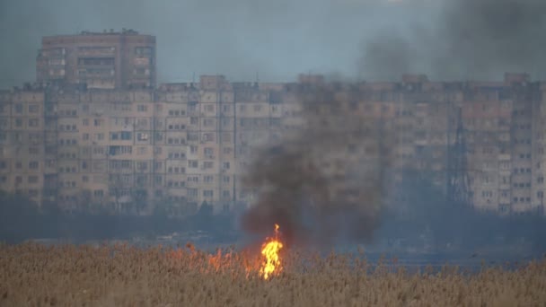 Flamme Ravageuse Jouant Sur Les Zones Humides Sur Rive Dnipro — Video