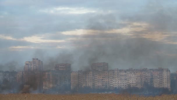 Fumée Grise Noire Recouvrant Marais Sur Rive Dnipro Printemps Ukraine — Video