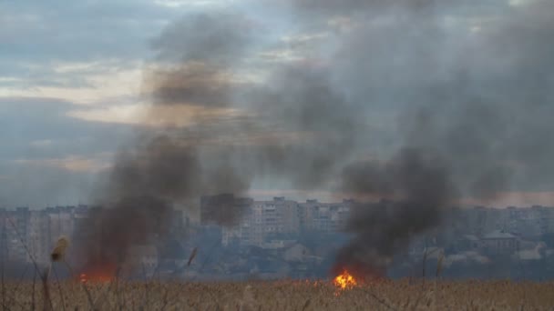 Две Горячие Точки Опустошающего Огня Пожирающие Тростник Окраине Херсона Сло — стоковое видео
