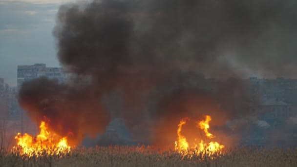 Rouleaux Denses Fumée Feu Étincelant Engloutissant Zone Humide Dnipro Dans — Video