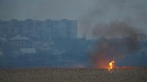 Zone Humide Lumineuse Avec Fourches Feu Sur Rive Dnipro Dans — Video