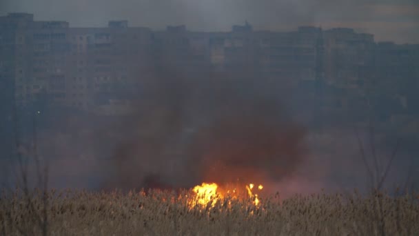 Clădiri Înalte Malul Dnipro Flacără Strălucitoare Peste Râu Timp Noapte — Videoclip de stoc