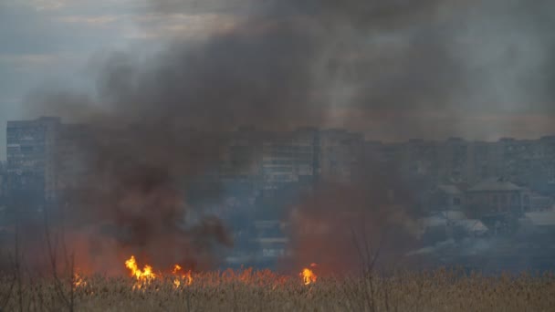 Сяючий Марш Вилами Полум Березі Дніпра Увечері Навесні Приголомшливий Вигляд — стокове відео