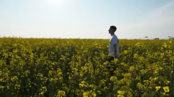 Fröhlicher Sportlicher Mann Der Sommer Einem Gelben Rapsfeld Spaziert Slo — Stockvideo