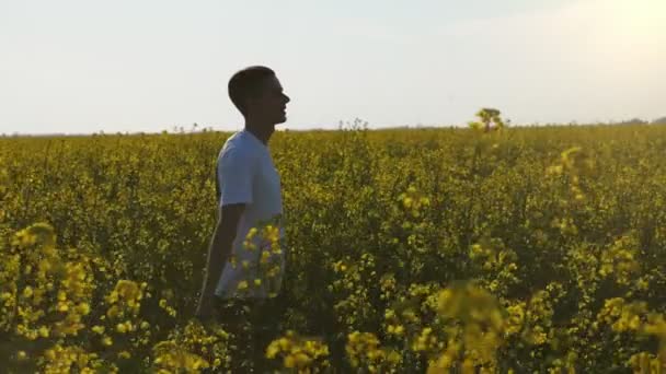 화창한 유채밭에 쾌활한 남자는 여름에 들판에서 만지는 티셔츠를 브루넷 남자의 — 비디오