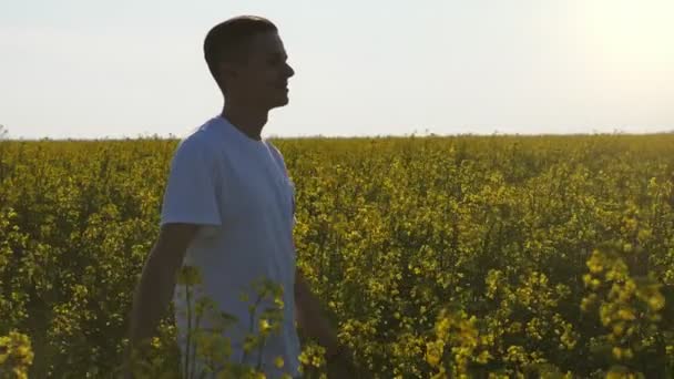 화창한 유채밭을 산책하는 행복한 청년은 티셔츠 하이킹을 여름에 슬로모의 들판에서 — 비디오