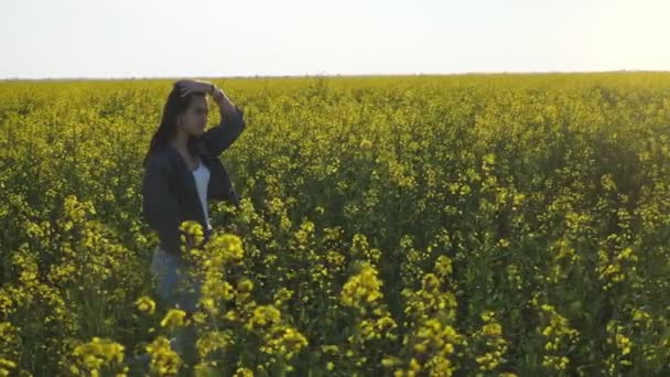 여자는 밭에서 산책하고 모에서 여름에 밭에서 청바지 정장에 느슨한 머리를 — 비디오