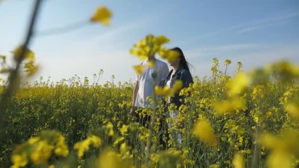 素敵なカップルは スローモの菜種畑に長い緩い髪を持つ彼の陽気でスタイリッシュな女の子と幸せなブルネットの男の視点で スローモゴージャスなドリーで花を咲かせる菜種畑に立っています — ストック動画