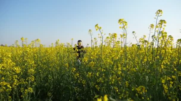 有趣的男孩冲在油菜籽领域在阳光明媚的一天 在Slo Mo的热闹视图一个愉快的布鲁内特男孩运行和触摸漂亮的油菜籽花在一个大的田野在阳光明媚的一天 在夏天的一天在Slo — 图库视频影像
