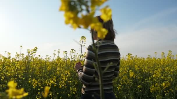 Vrolijke Blonde Vrouw Staande Een Raapzaad Veld Bij Mooie Zonsondergang — Stockvideo