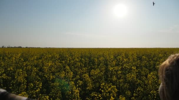 Mulher Loira Alegre Com Mãos Levantadas Campo Enorme Pôr Sol — Vídeo de Stock