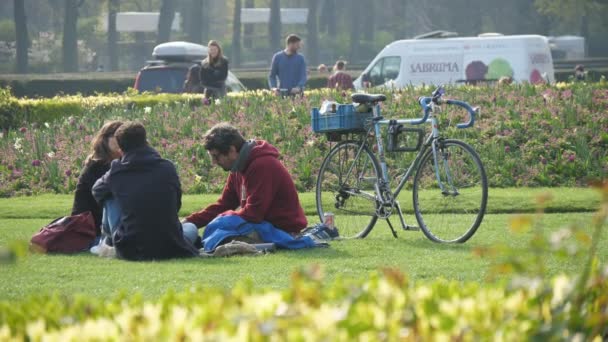 比利时布鲁塞尔 2019年4月1日 在阳光明媚的日子里 三个年轻人坐在绿色草坪上野餐 在布鲁塞尔附近散步的乐观景色 — 图库视频影像