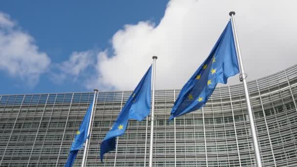 美丽的欧盟旗帜在春天的塞莱斯特天空中飘扬 在春天的Ep房子 欧盟国旗的向上视图 团结和人权的象征 骄傲地飘扬在塞莱斯特的天空中 — 图库视频影像