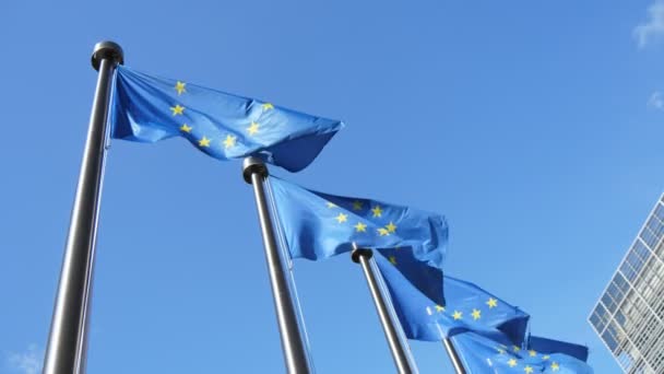 几面欧盟旗帜骄傲地飘扬在比利时的塞莱斯特天空中 在四个欧盟标准的蓝色背景和金色的星星圆圈的上空飘扬的Slo Arty向上视图 — 图库视频影像