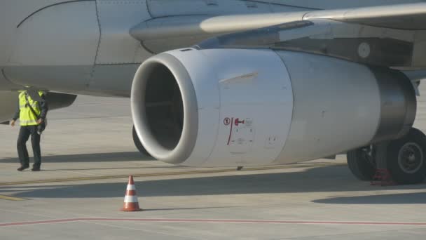 Kiev Ucrania Junio 2018 Vista Original Los Trabajadores Del Aeropuerto — Vídeo de stock