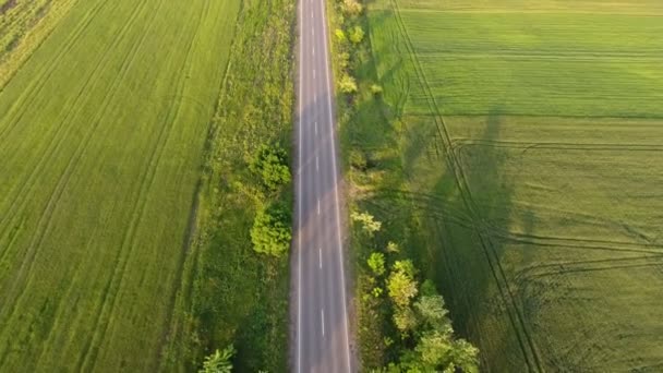 Повітряний Знімок Довгої Траси Проходить Серед Зелених Лугів Влітку Шлю — стокове відео