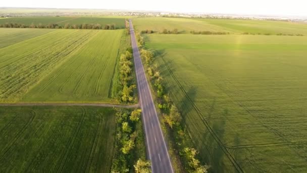 Antenn Skott Rak Motorväg Som Kör Bland Gröna Fält Sommaren — Stockvideo