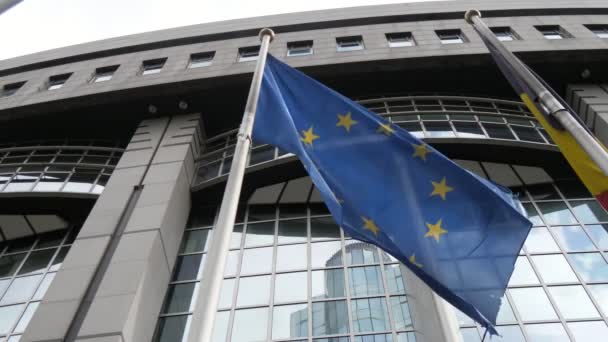 Blue Standard Waving Flagpole European Parliament Spring Arty View Flying — Stock Video